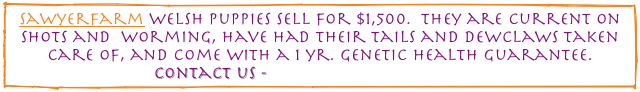 sawyerfarm welsh puppies sell for $1,500.  They are current on shots and  worming, have had their tails and dewclaws taken care of, and come with a 1 yr. genetic health guarantee.                                                                                                                  contact us - sawyerfarm@aol.com